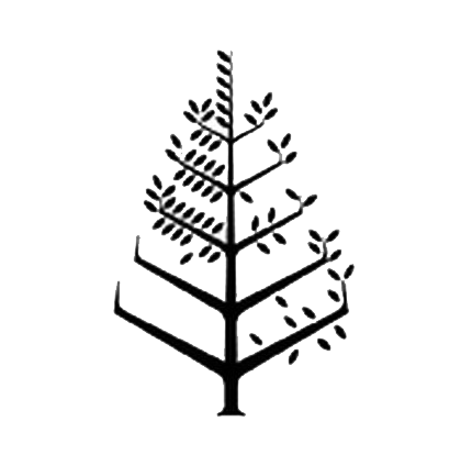 圣彼得堡獅子廣場四季酒店 Logo